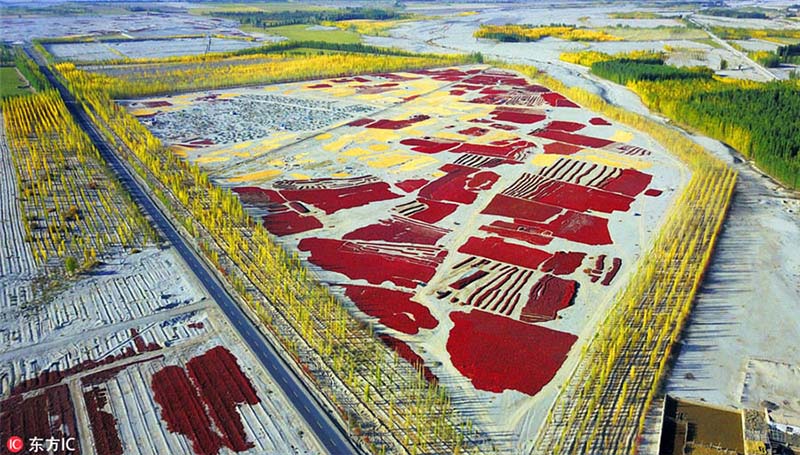 Galeria: Esta??o da colheita na China