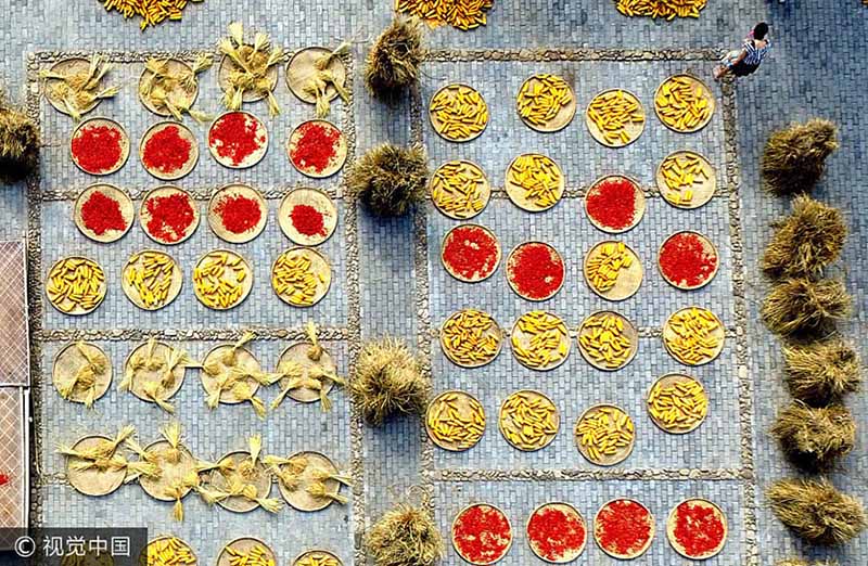 Galeria: Esta??o da colheita na China