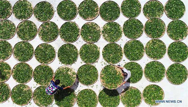 Galeria: Esta??o da colheita na China