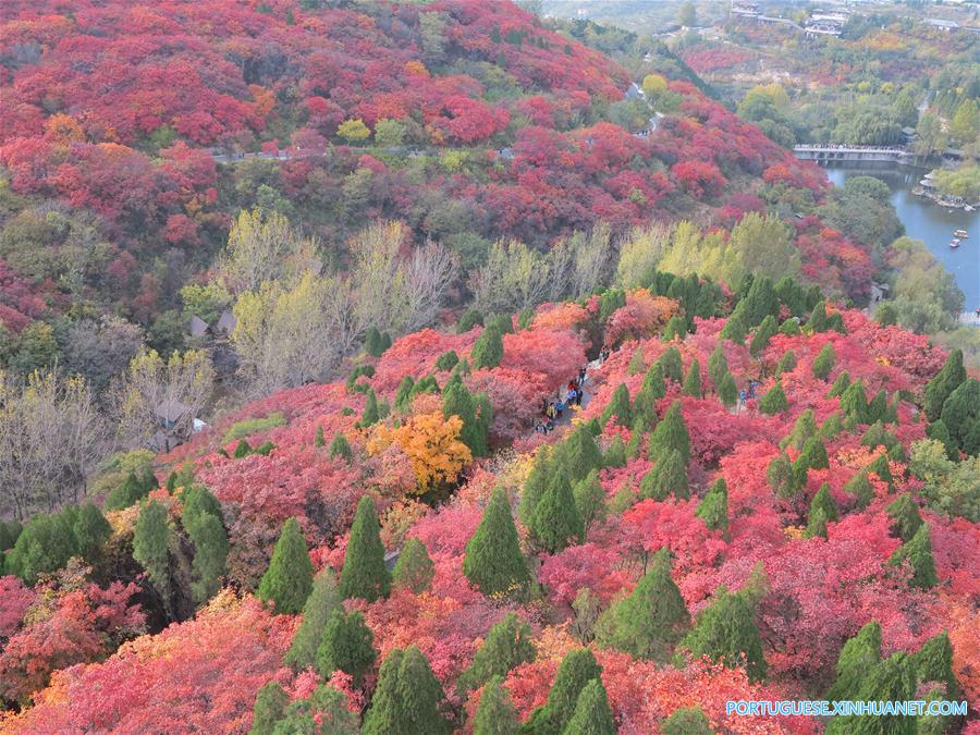 Turistas visitam paisagem de outono em Jinan