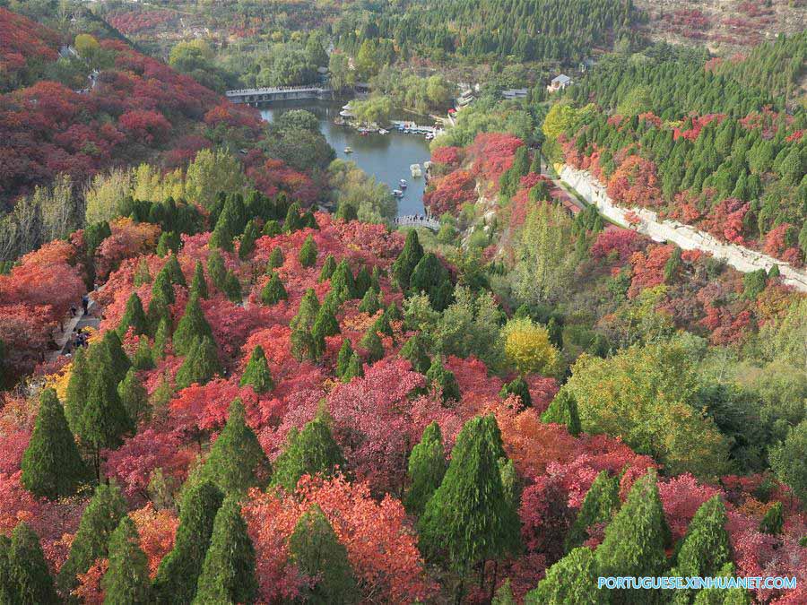 Turistas visitam paisagem de outono em Jinan