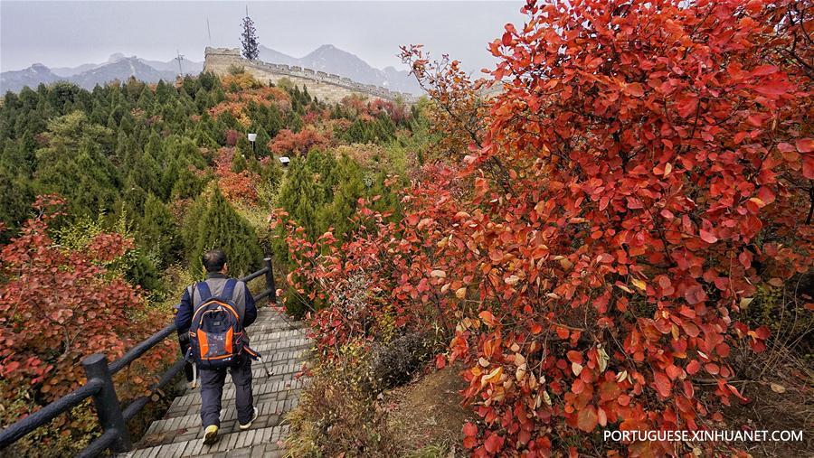 Paisagem impressionante de outono do Parque Florestal Nacional de Badaling