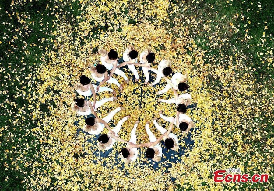 Galeria: Cores outonais e yoga