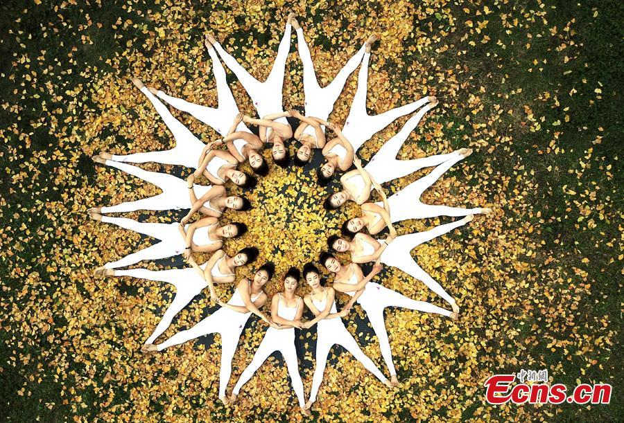 Galeria: Cores outonais e yoga