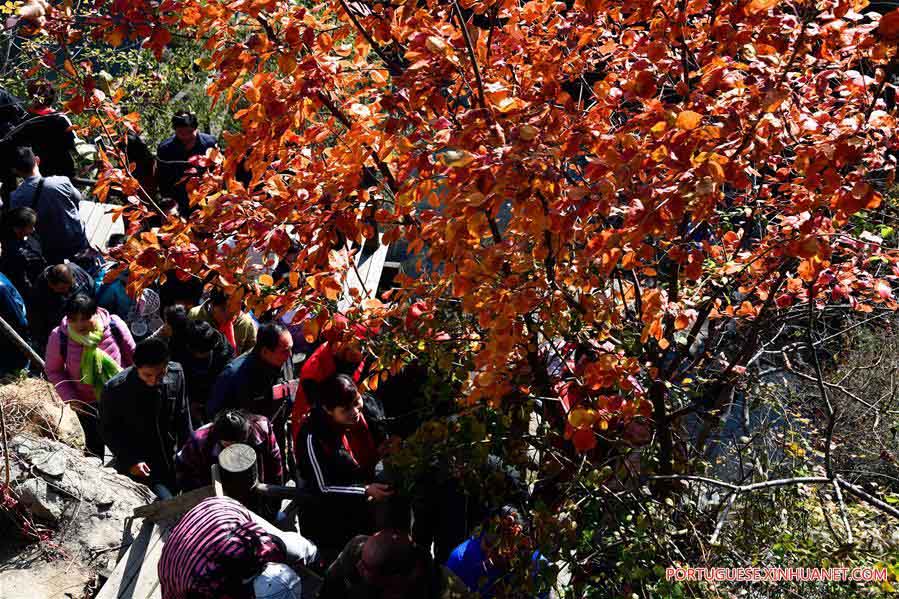 Turistas aproveitam paisagem da montanha Jiuru em Shandong, no leste da China