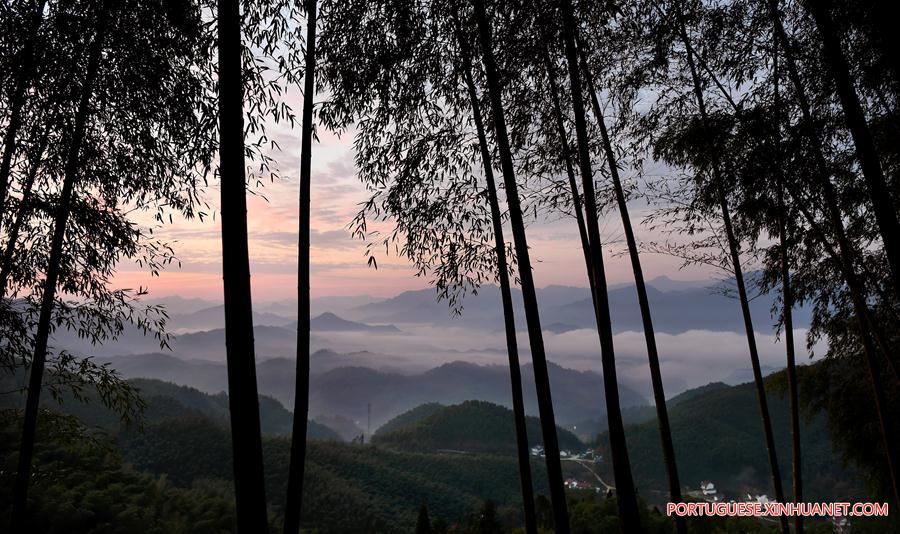 Paisagem de bambus e mar de nuvens em Anhui, no leste da China