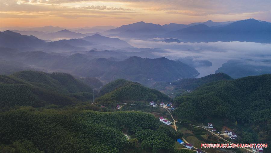 Paisagem de bambus e mar de nuvens em Anhui, no leste da China