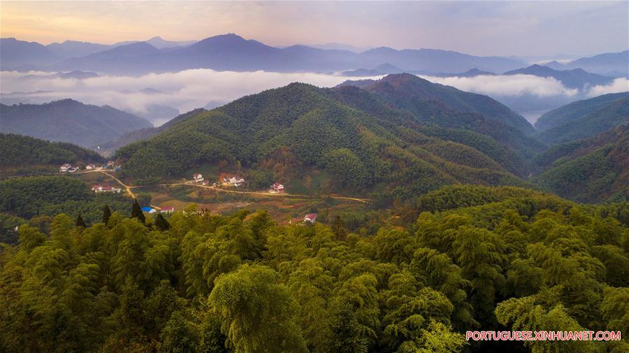Paisagem de bambus e mar de nuvens em Anhui, no leste da China