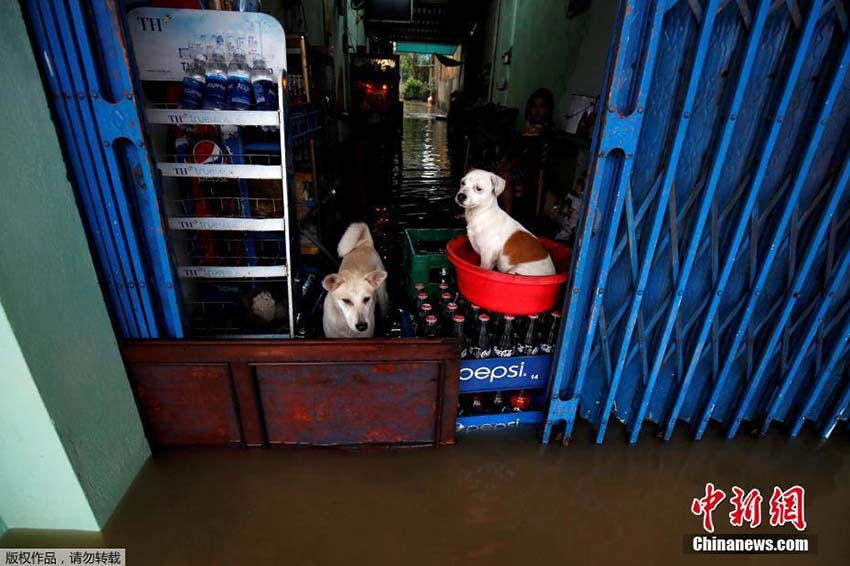 Tuf?o Damrey deixa 29 mortos e 29 desaparecidos no centro do Vietn?