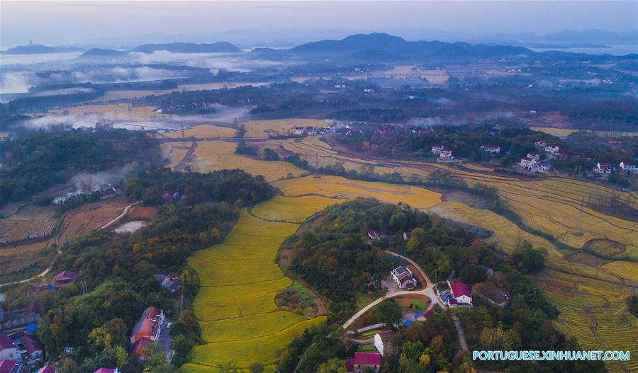 Cenário da aldeia Yangshan em Anhui