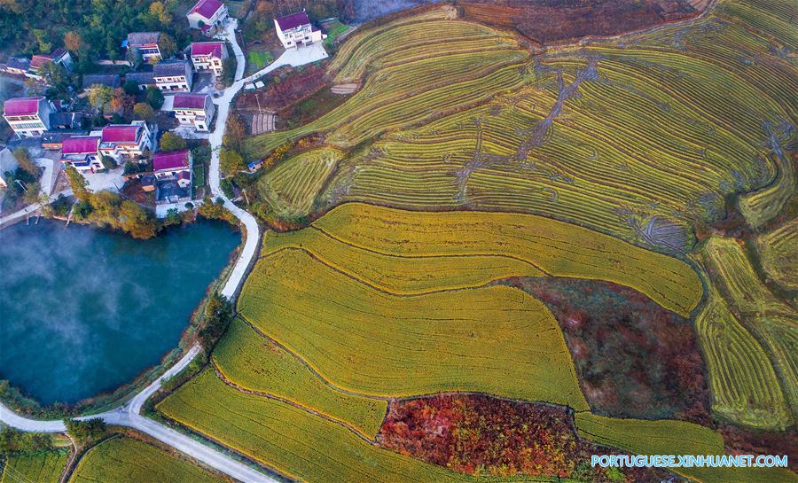 Cenário da aldeia Yangshan em Anhui