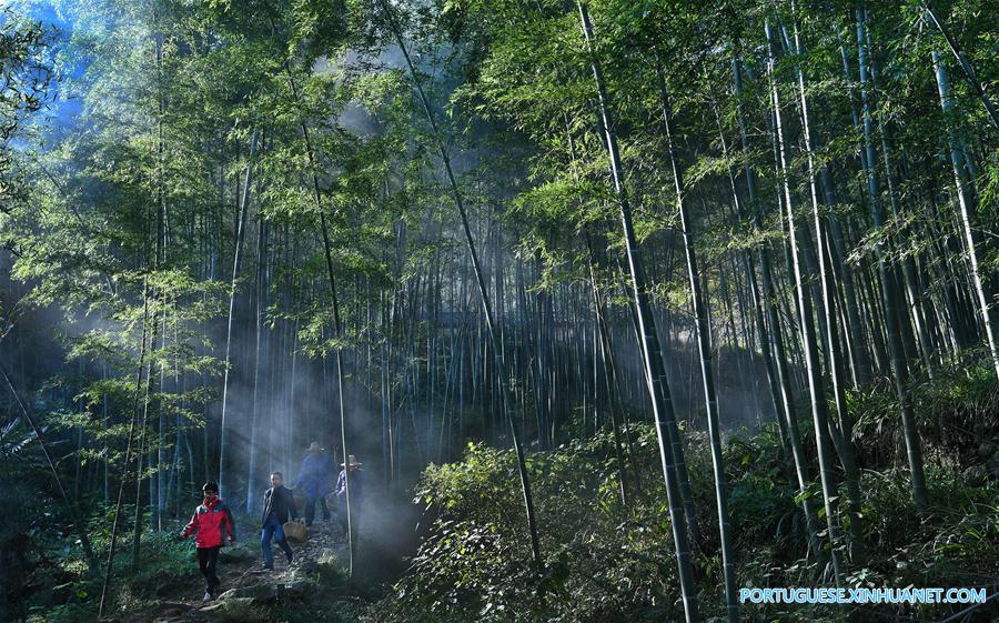 Cenário da aldeia Yangshan em Anhui