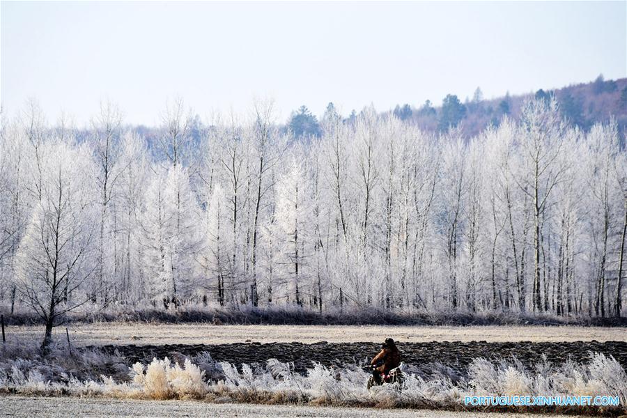 Paisagem de sincelo em Heilongjiang, no nordeste da China