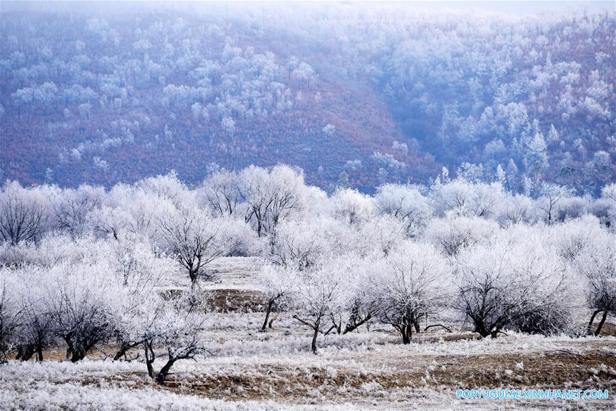 Paisagem de sincelo em Heilongjiang, no nordeste da China
