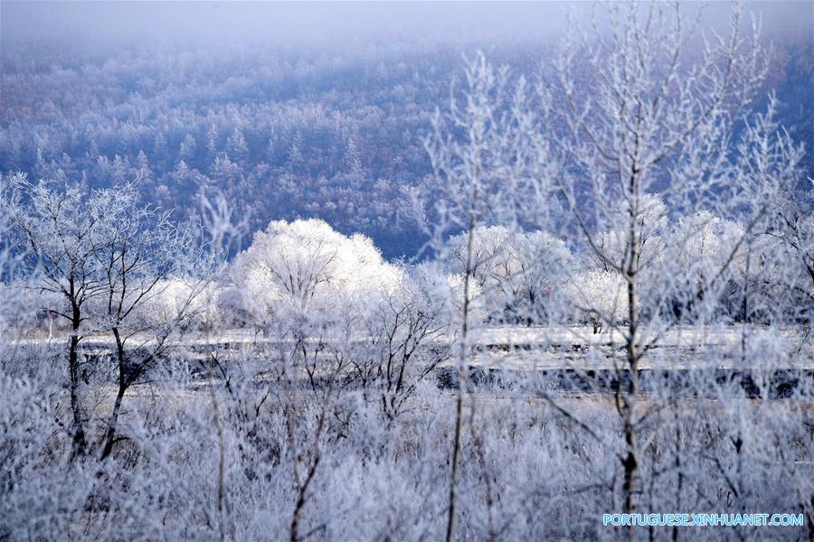 Paisagem de sincelo em Heilongjiang, no nordeste da China