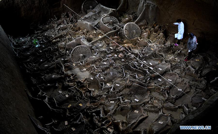 China: Arqueólogos descobrem cavalos e carruagens com 2.400 anos