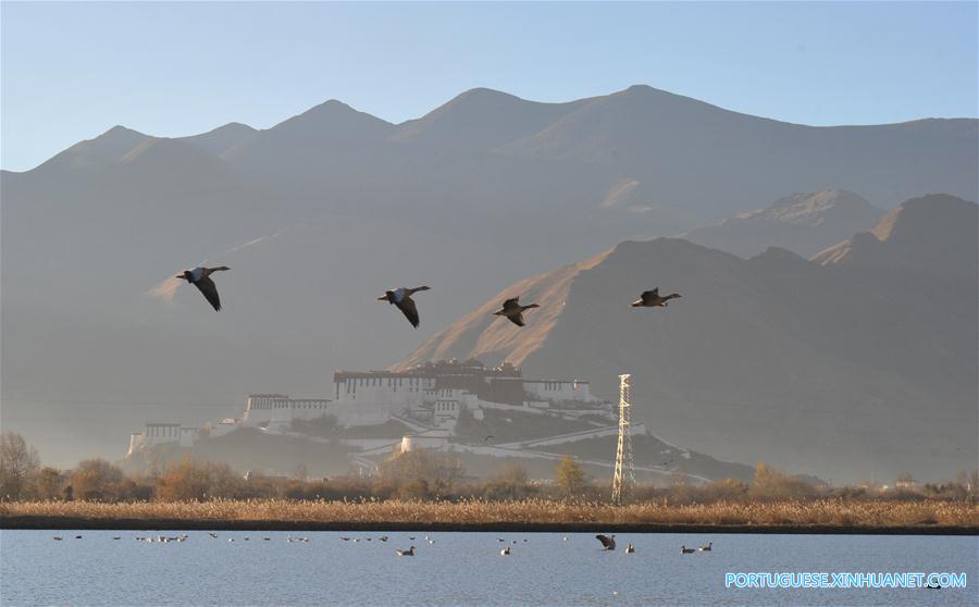 Em imagens: Pantano Lalu em Lhasa