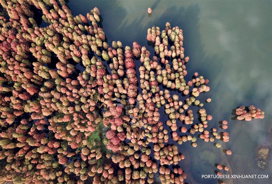 Paisagem do lago Siming em Zhejiang