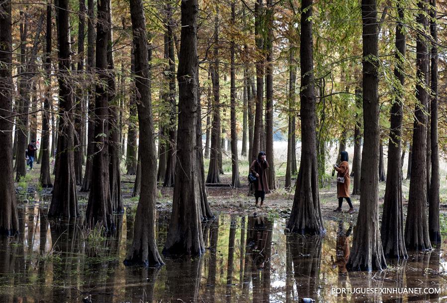 Paisagem do lago Siming em Zhejiang