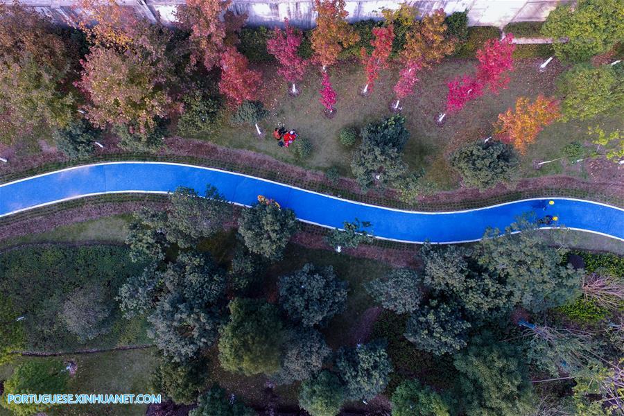 Ciclovias verdes oferecem op??o de viagem ecológica na China