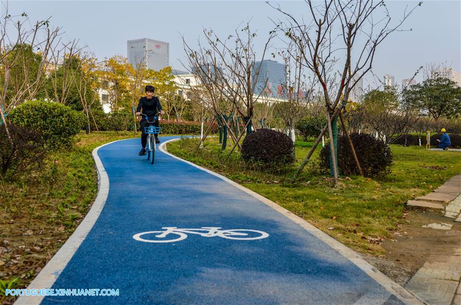 Ciclovias verdes oferecem op??o de viagem ecológica na China