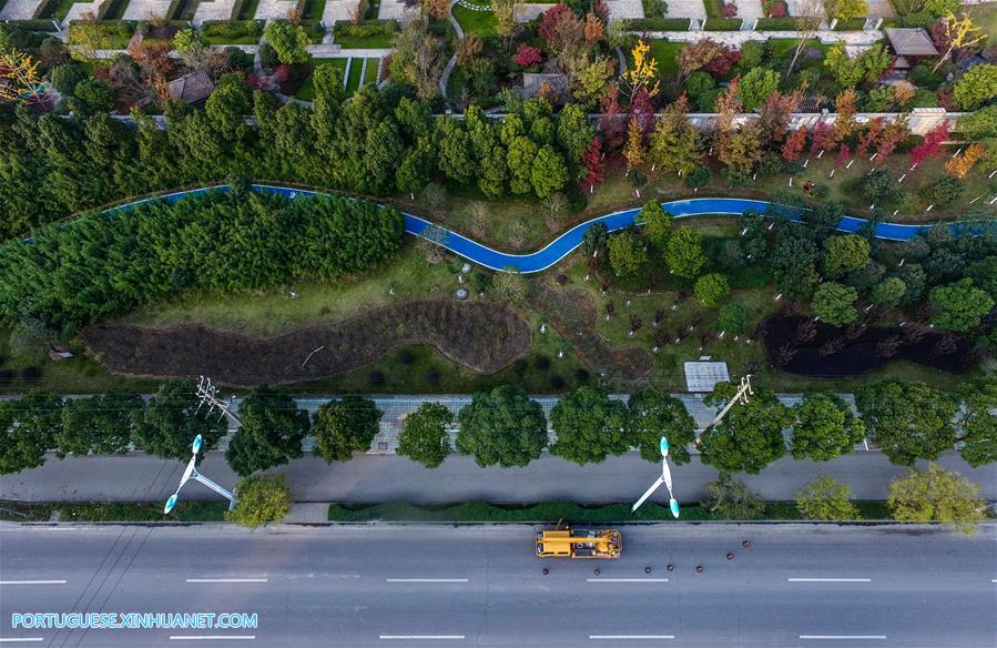 Ciclovias verdes oferecem op??o de viagem ecológica na China