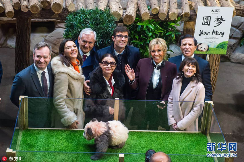 Primeiro filhote de panda nascido na Fran?a recebe nome e bên??o