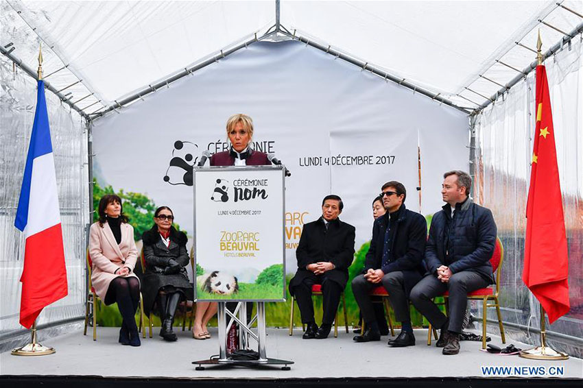 Primeiro filhote de panda nascido na Fran?a recebe nome e bên??o