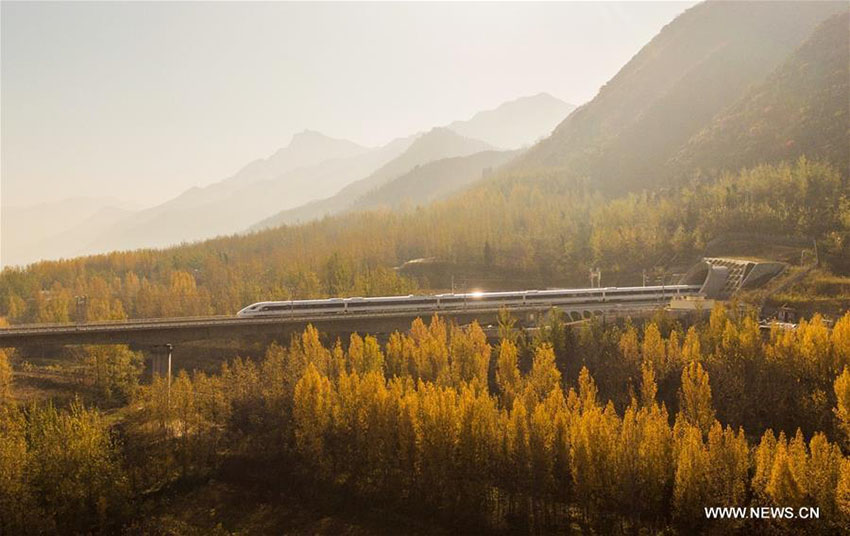 Ferrovia de alta velocidade Xi’an-Chengdu entra em funcionamento