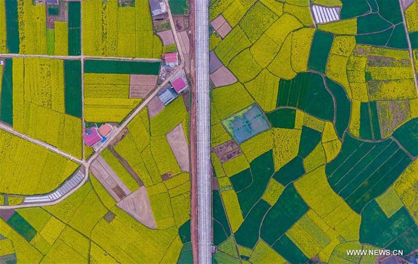 Ferrovia de alta velocidade Xi’an-Chengdu entra em funcionamento