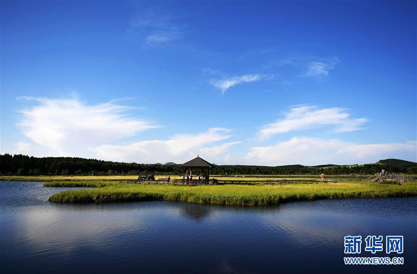 Comunidade de reflorestamento chinesa galardoada com prêmio ambiental da ONU