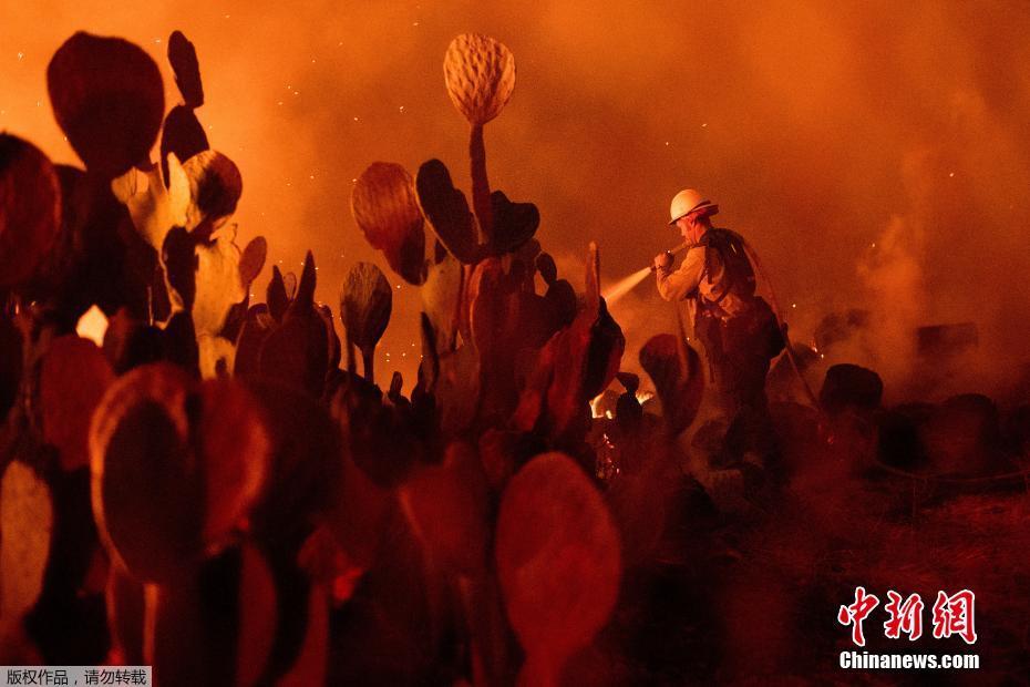 Incêndio florestal continua nos EUA