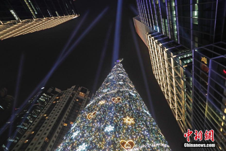 Galeria: Shanghai ilumina árvore de natal com 23 metros 
