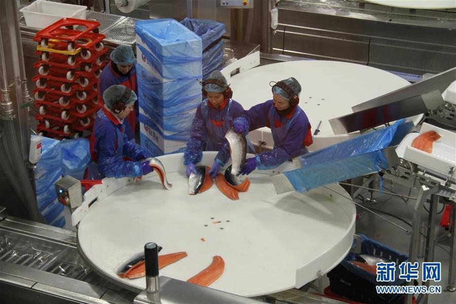 Galeria: China cria zona de pesca inteligente