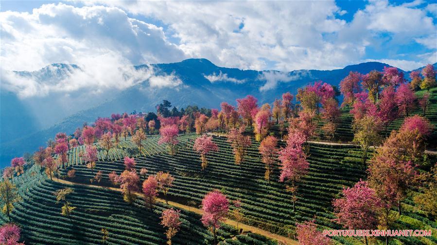 Paisagem do vale da cereja em Yunnan
