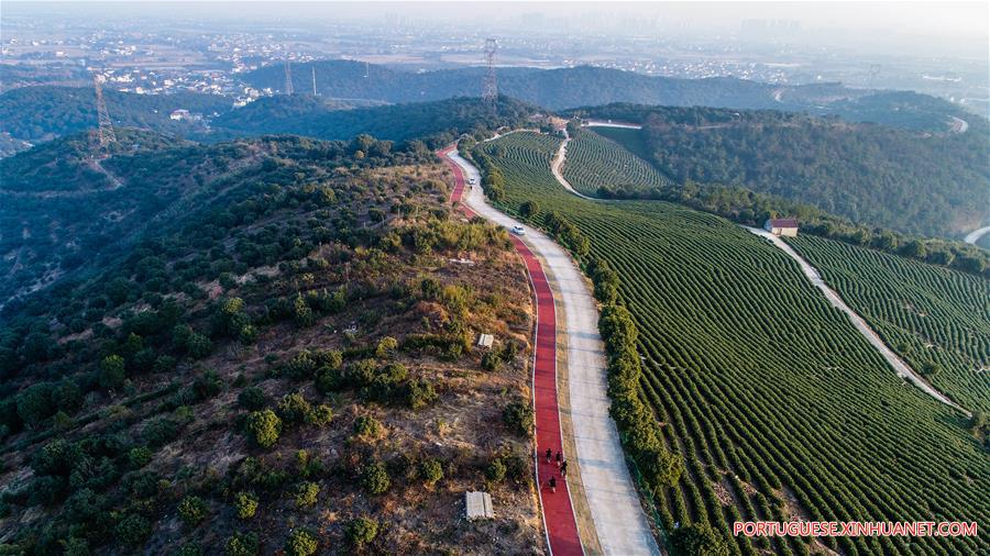 Via verde em Zhejiang torna-se popular resort rural para visitantes