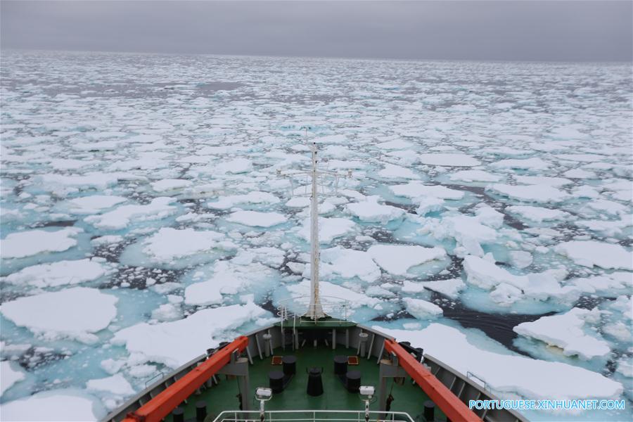 Quebra-gelo chinês Xuelong continua expedi??o antártica
