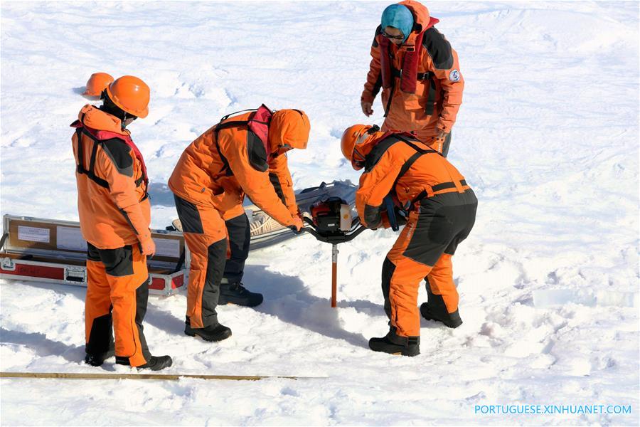 Equipe de expedi??o antártica da China chega à esta??o Zhongshan