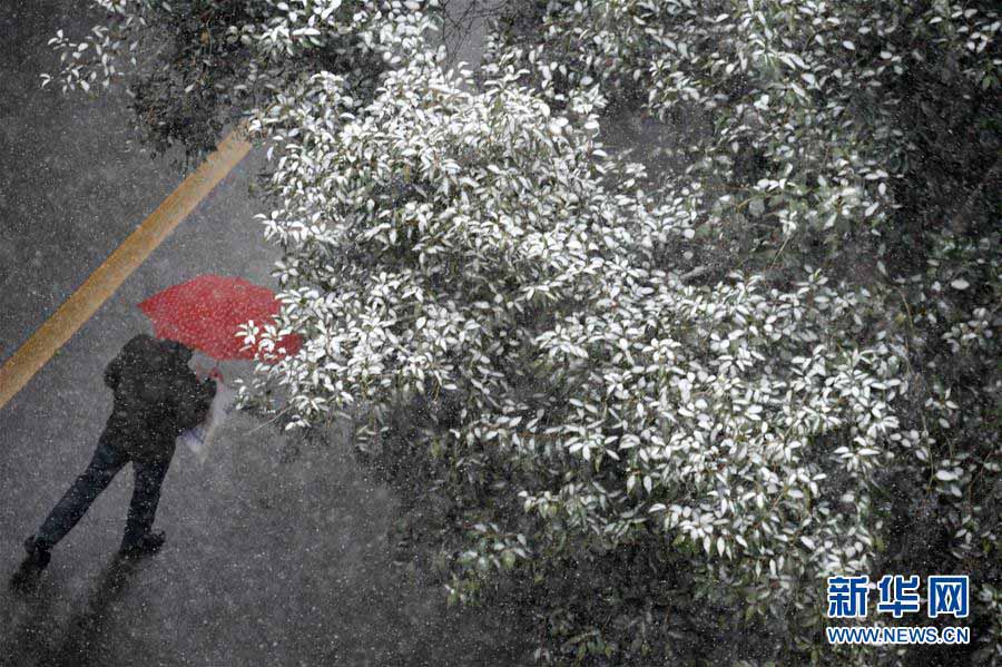 Primeiro nev?o de 2018 atinge cidades chinesas