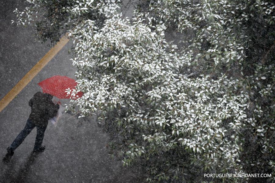 Várias cidades da China têm primeira queda de neve de 2018