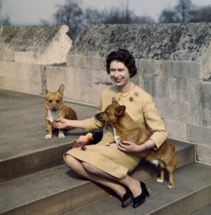 Galeria: Líderes mundiais e o “melhor amigo do homem”