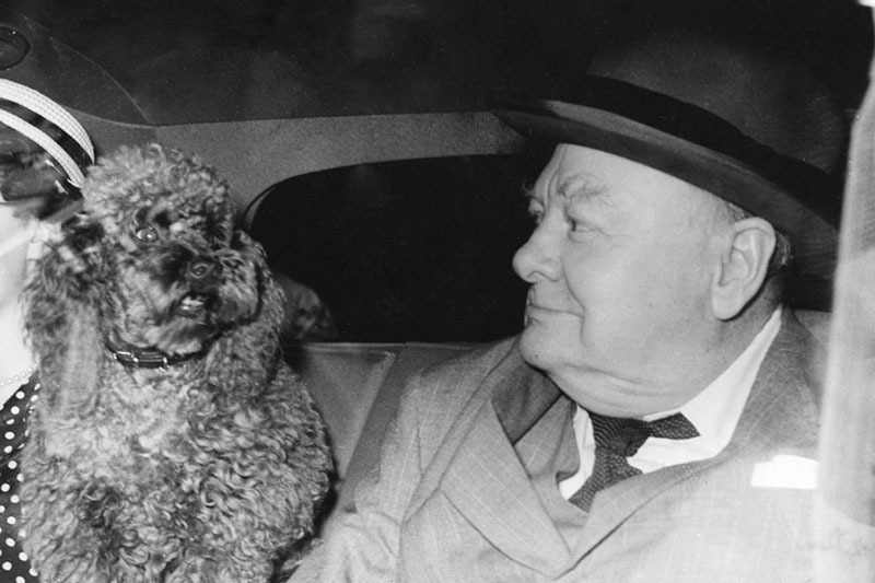 Galeria: Líderes mundiais e o “melhor amigo do homem”