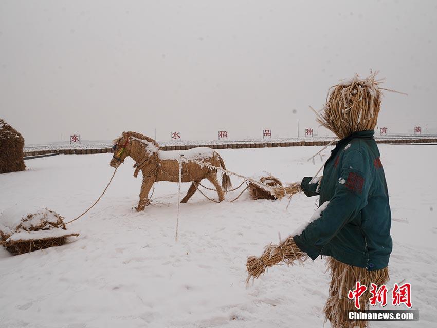 Galeria: Agricultores constroem “parque de palha” em Jilin