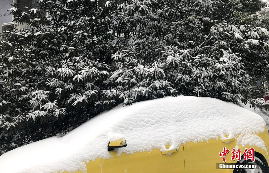 Sul da China recebe segundo nev?o de 2018