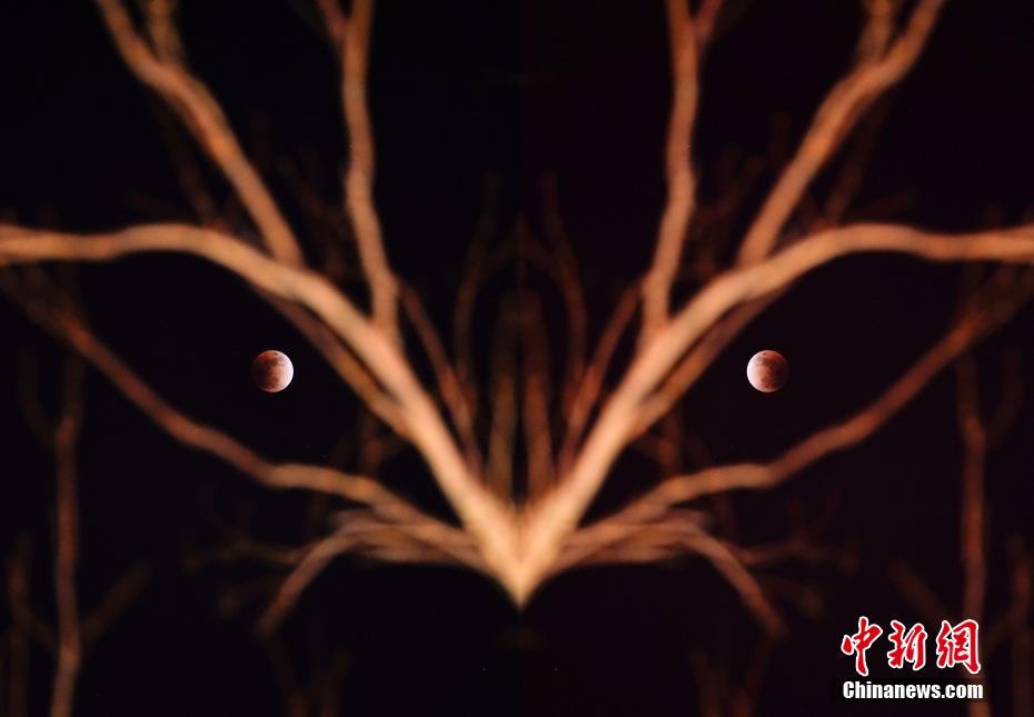 Eclipse lunar e “superlua azul de sangue” observados em toda a China