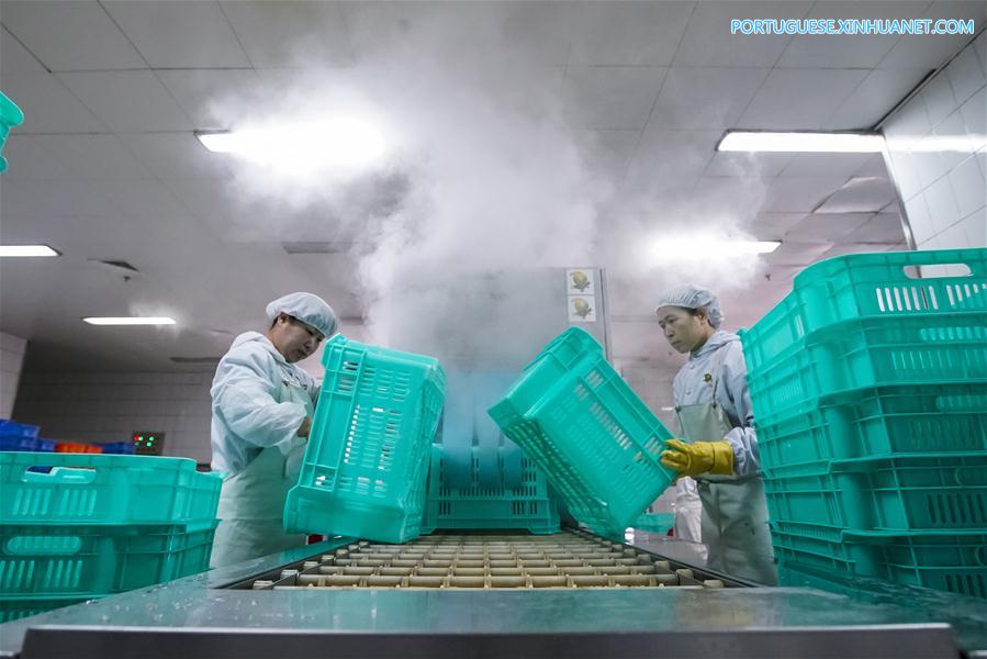 Trens de alta velocidade disponibilizam conjuntos de refei??es durante Festival da Primavera