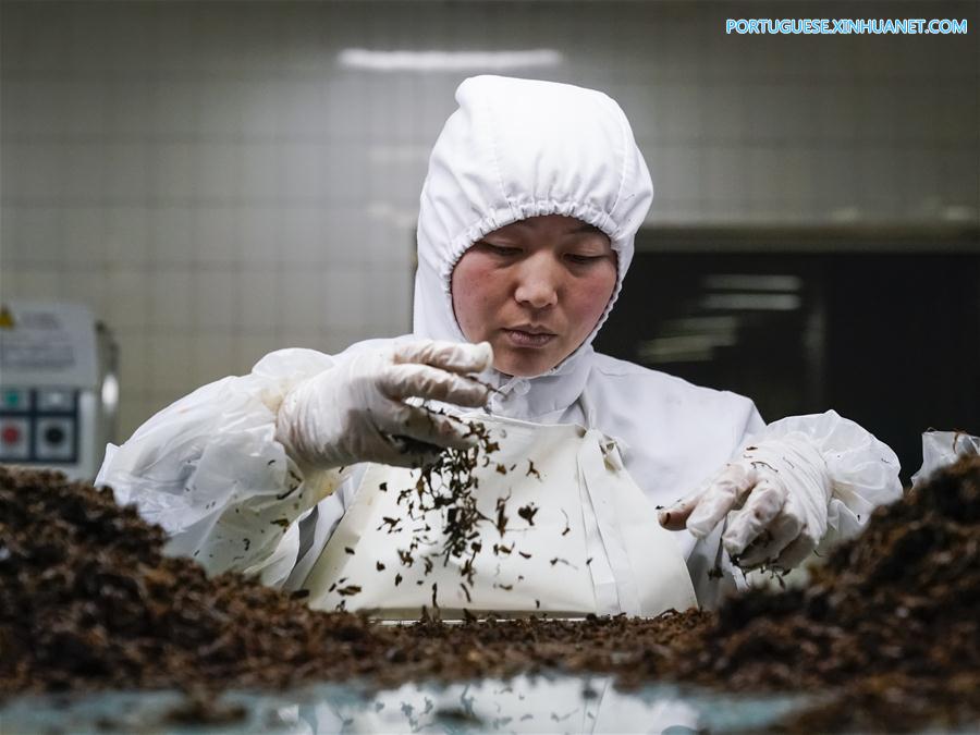 Trens de alta velocidade disponibilizam conjuntos de refei??es durante Festival da Primavera