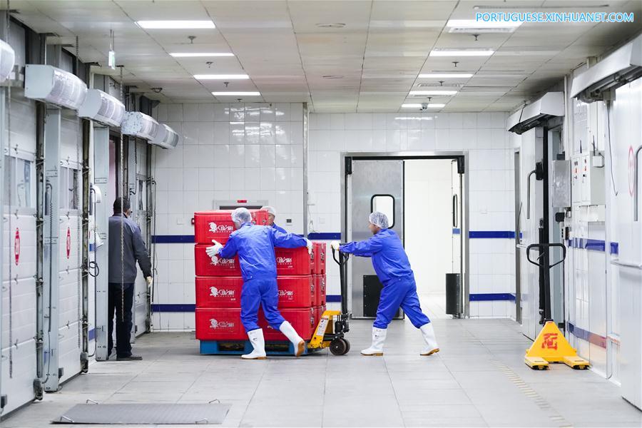 Trens de alta velocidade disponibilizam conjuntos de refei??es durante Festival da Primavera