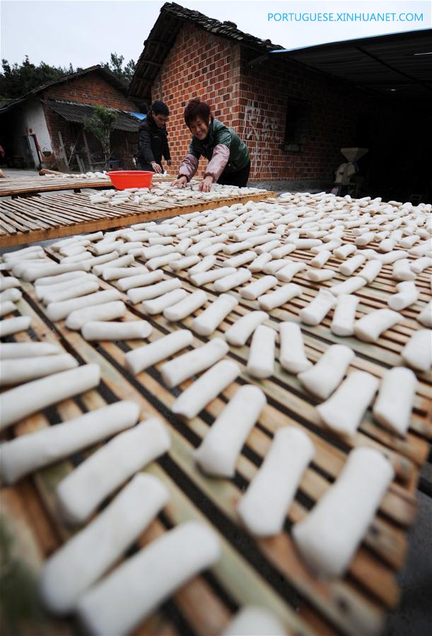 Sabores do Festival da Primavera