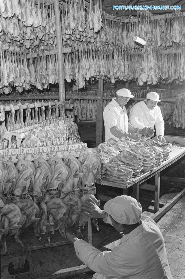 Sabores do Festival da Primavera